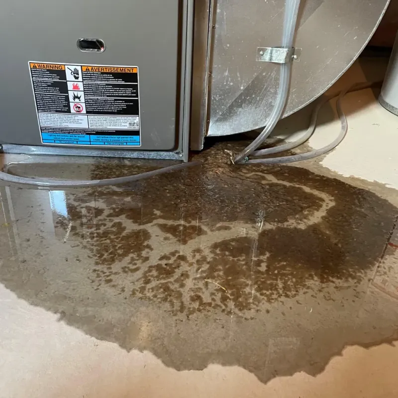 Appliance Leak Cleanup in Halawa, HI