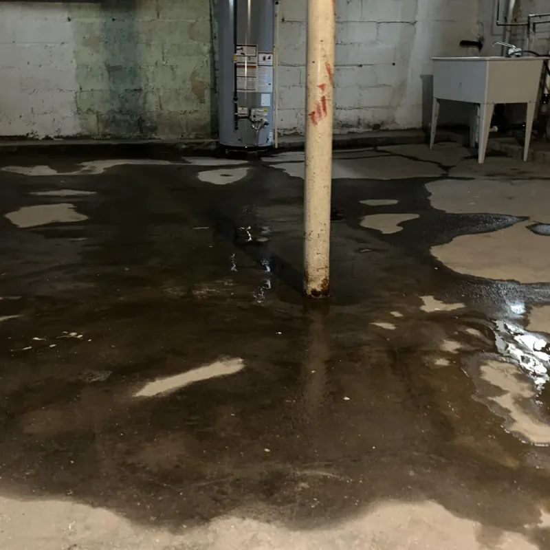 Emergency Water Extraction And Removal in Halawa, HI